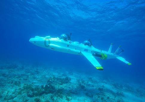探索对于孩子应不应该鼓励式教育?-知识星球平台