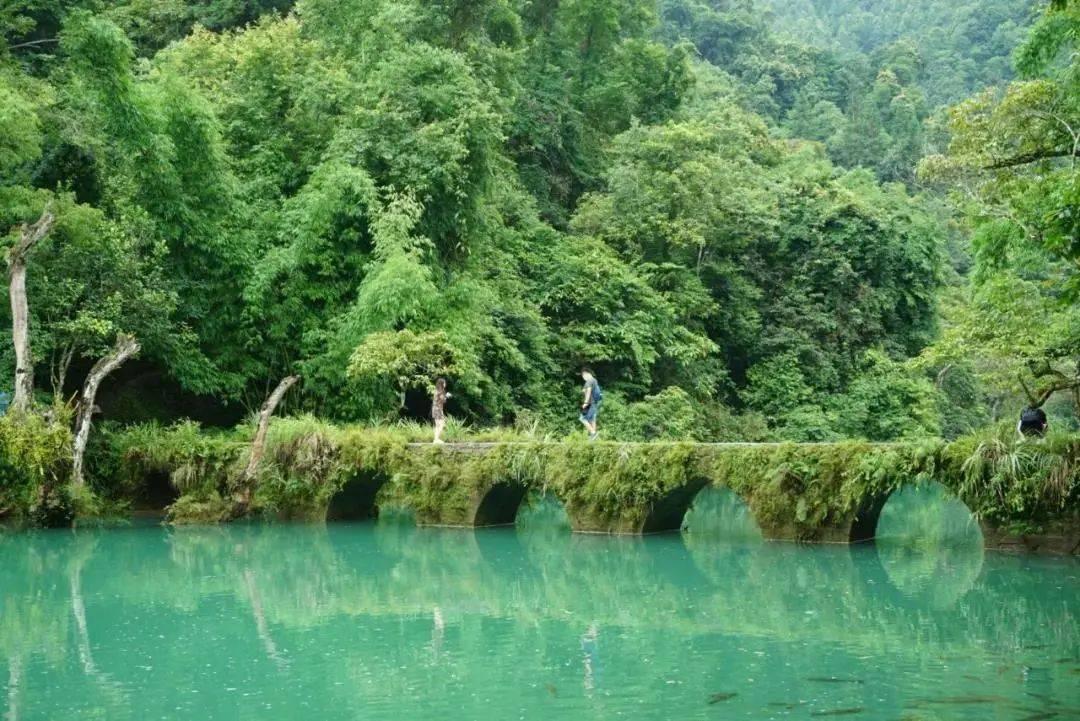 《探索死过人的房子可以买吗知识星球,开启你的知识之旅》